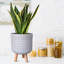 Geometric Patterned Cylinder Planter with Feet-350652355-350652354