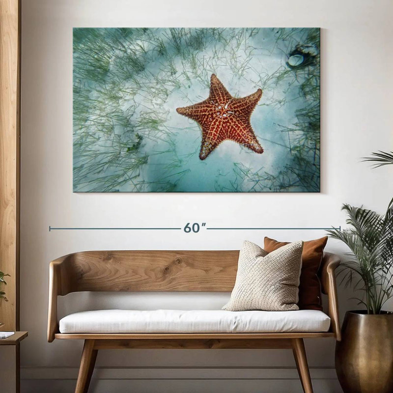 Étoile de mer peu profonde, H 34 po x l 51 po