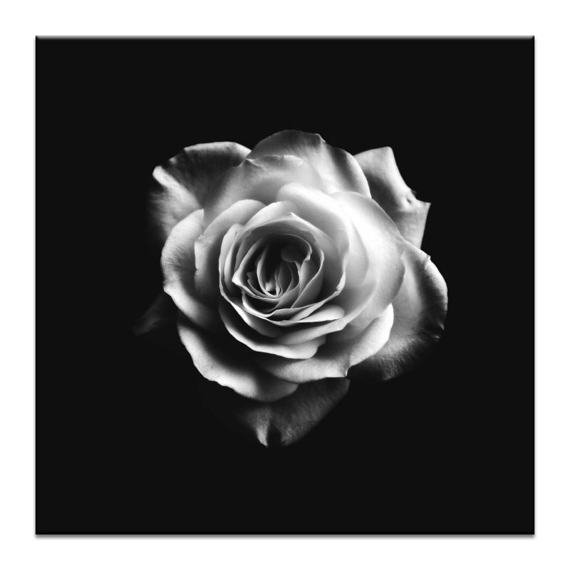 Print on Canvas, Wrapped Canvas, 41cm H x 41cm W