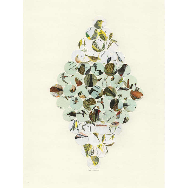Birds Of Europe Print by Lisa Eisenbrey, 21.25" H x 17.25" W