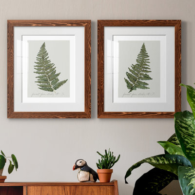 " Fern Studies I " 2 Piece Art Watercolor Print
