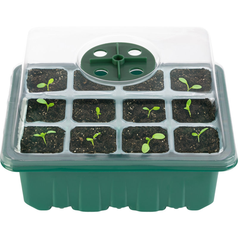 Green Plastic Seed Starter Tray Kit with Humidity Dome