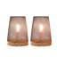 Volpe Wood Desk Lamp