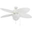 Ventilateur de plafond d'intérieur 52 po Solona