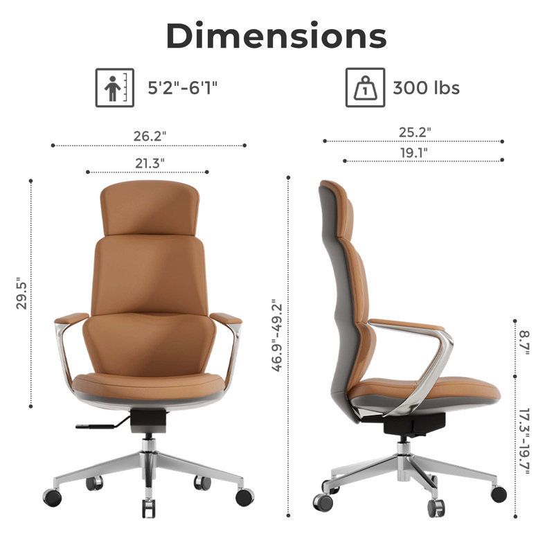 Genuine Leather Executive Chair, Swivel Ergonomic Office Chair, Home Desk Chair with Tilt Reclining, Alu, Brown