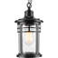 Luminaire suspendu d'extérieur 12,4 po câblé