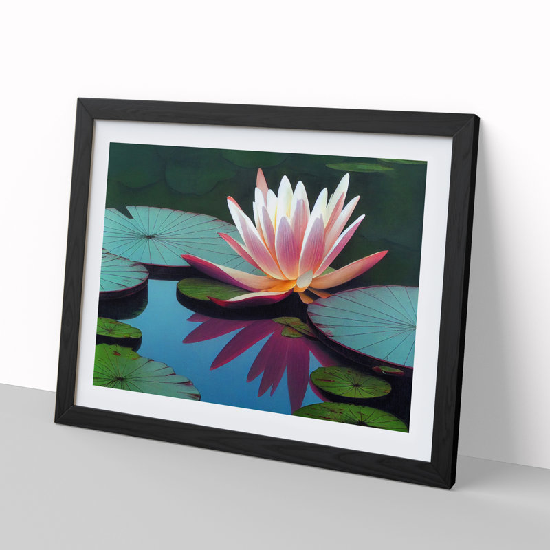 Fine Water Lily Pond - Single Picture Frame Print, 34cm H x 46cm W x 2cm D, Black Framed