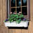 Plastic Planter Box-494974161-494974162
