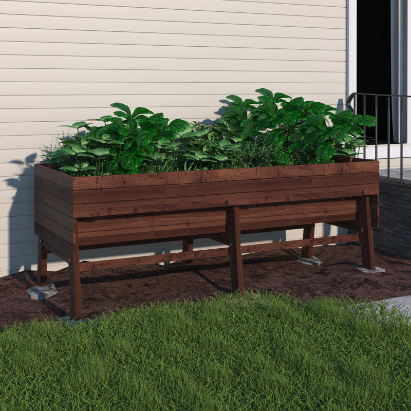 Lit de jardin surélevé extérieur en bois Eckmark, Brun rustique