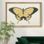 «Beautiful Butterfly I», impression sur toile encadrée-345591188-345591191