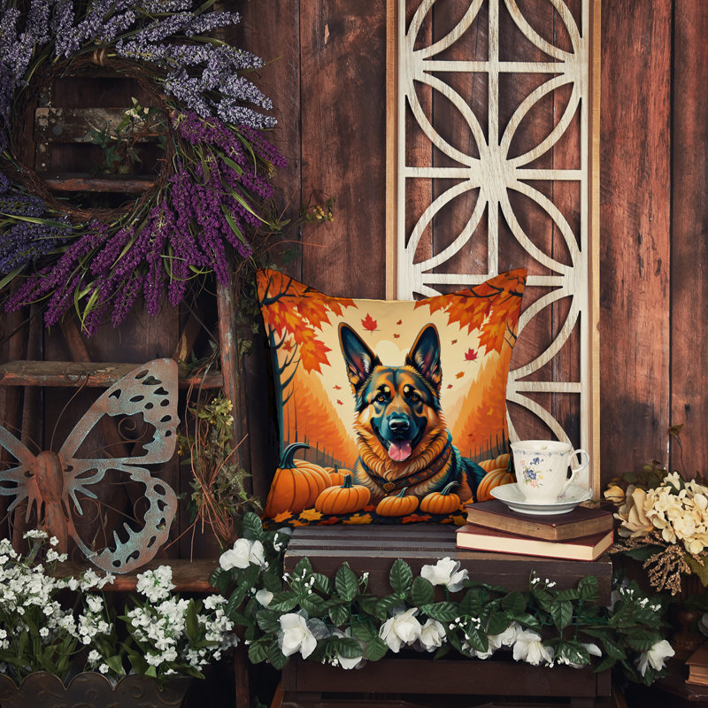 Other/No Pattern Outdoor Throw Pillow, 14" x 14"