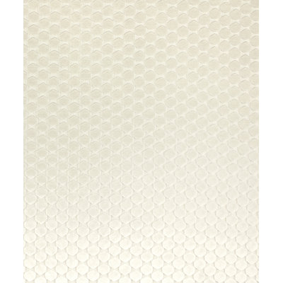 Newman Fabric