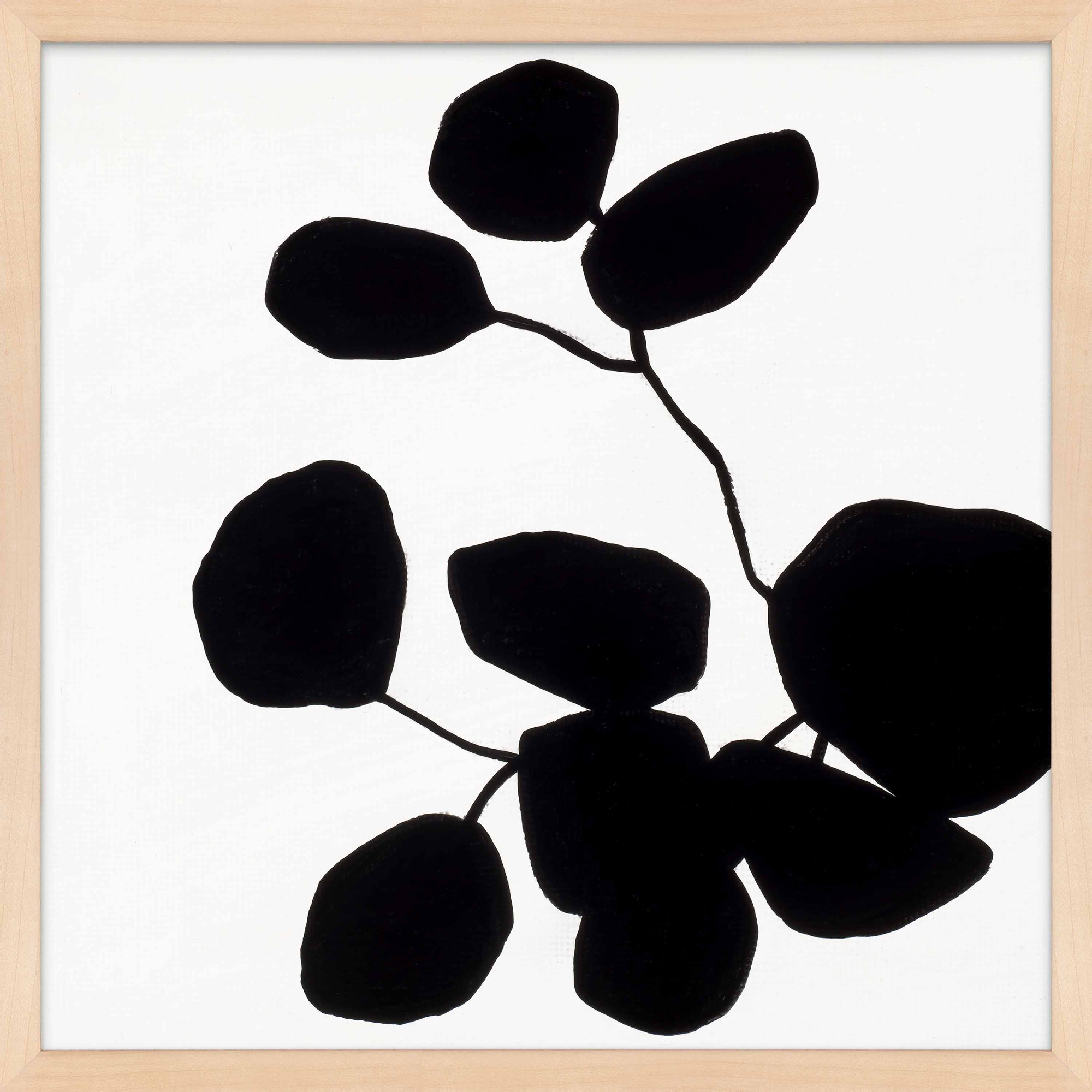 Modern Botanical 5 by Lee Lessem, 24" H x 24" W x 1.25" D, Maple Framed Paper