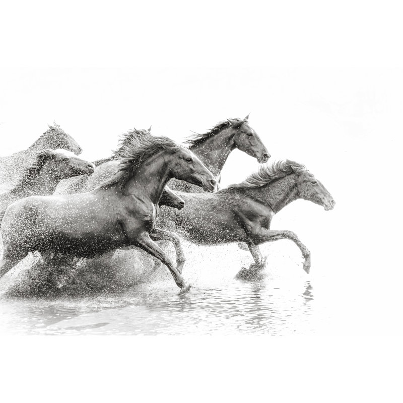Herd Of Wild Horses Running In Water by Tunart - No Frame Art Prints on Canvas, 30cm H x 46cm W