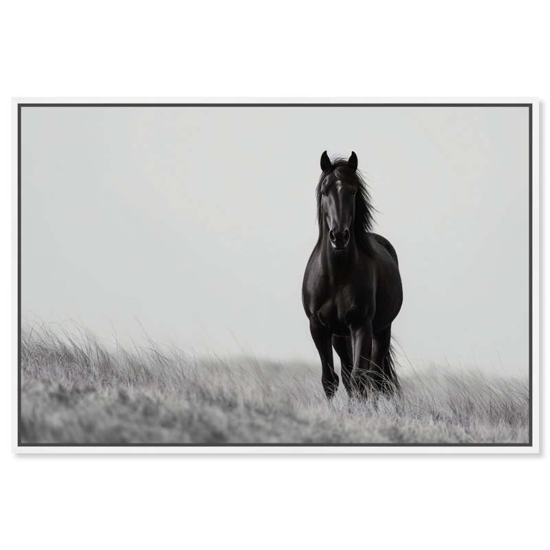 Lone Stallion I Print by Oliver Gal, 21" H x 31" W, White Floater Frame