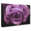 Purple Rose Flower Vol.1 - Wrapped Canvas-61837152