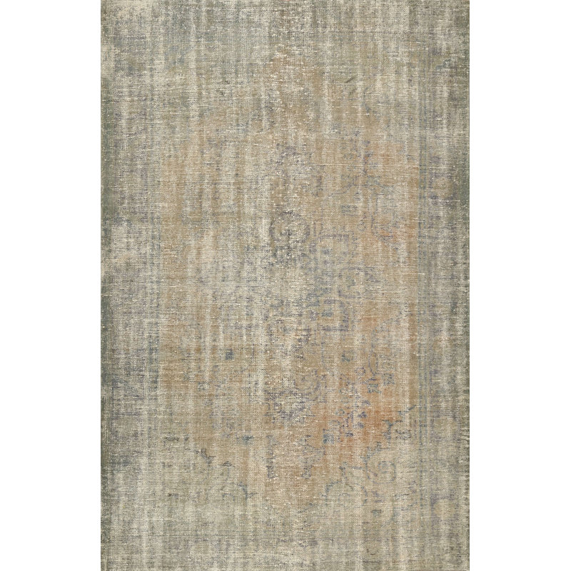 Debolt Indoor Rug, Rectangle 5' x 7'