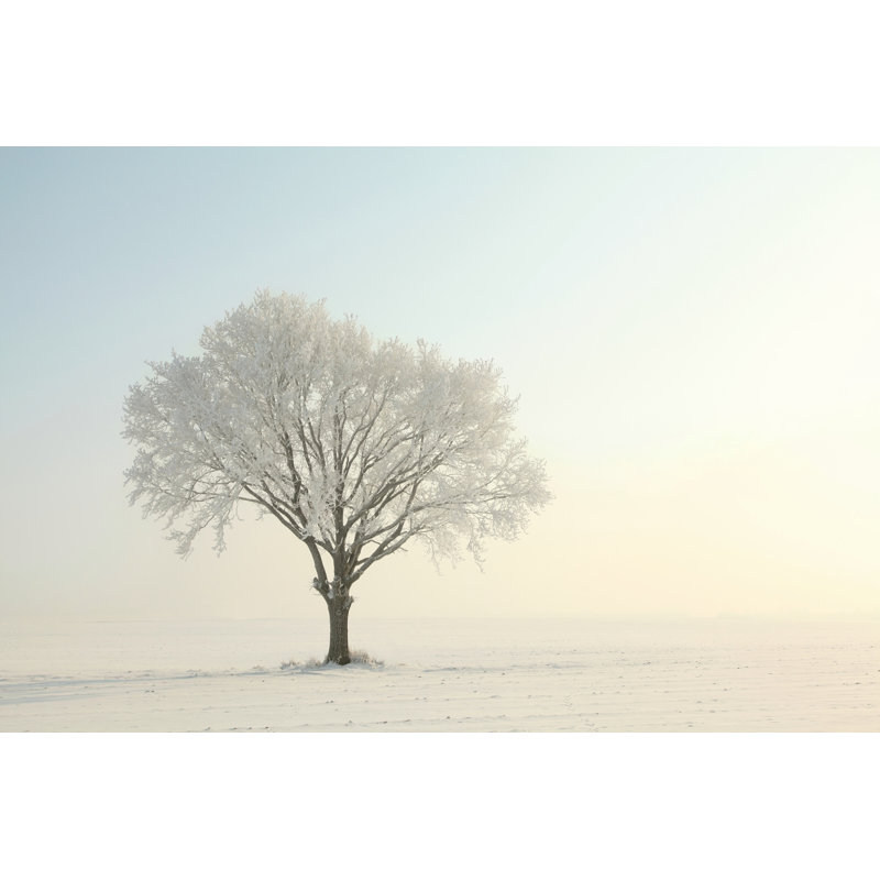 Arbre solitaire - reproduction sur toile tendue, H 8 po x l 12 po