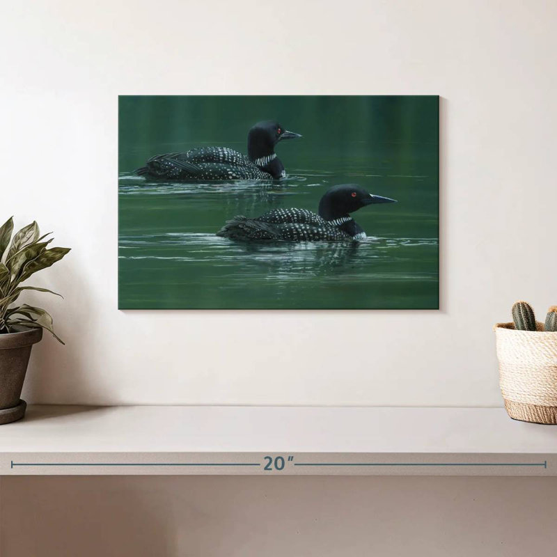 Two Loons, 8" H x 12" W