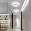 Mataponi 2-Light 27cm LED Flush Mount Ceiling Light-1606586985-1608239616
