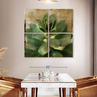Harnek Succulent I
