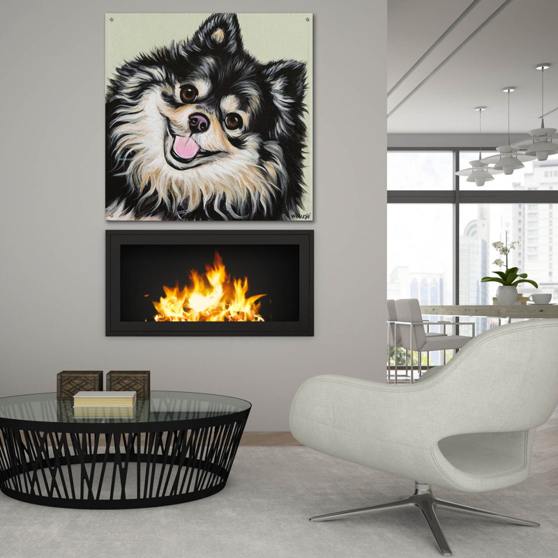 «Black and Tan Pomeranian» par Carolee Vitaletti, art mural en verre acrylique, H 36 po x l 36 po x P 0,2 po