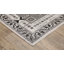 Tapis oriental noir / ivoire Aldred-738690311