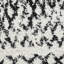 Machine Woven White/Black Rug-70522948