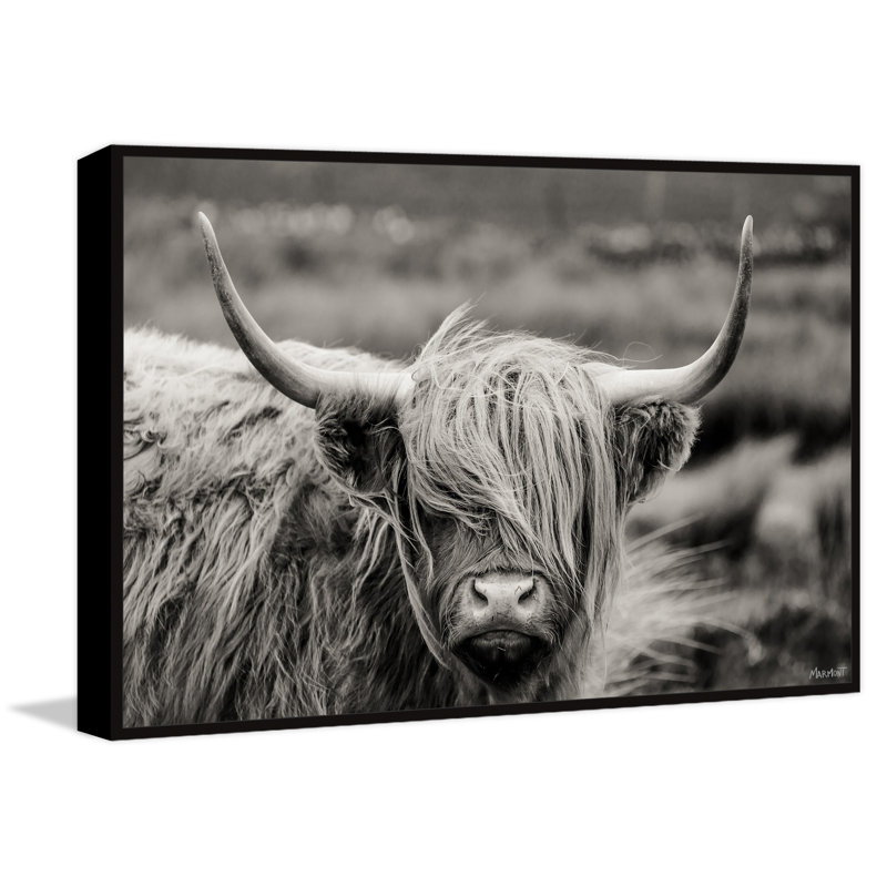 «Hairy Face C best» par Marmont Hill, reproduction sur toile, L 18 po x H 12 po, Toile avec cadre flottant noir, Aucun mat