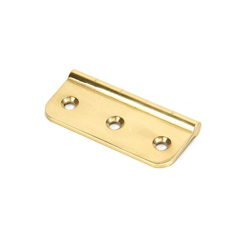 7.5cm H x 35cm W Surface Mount Single Door Hinge, Polished Brass