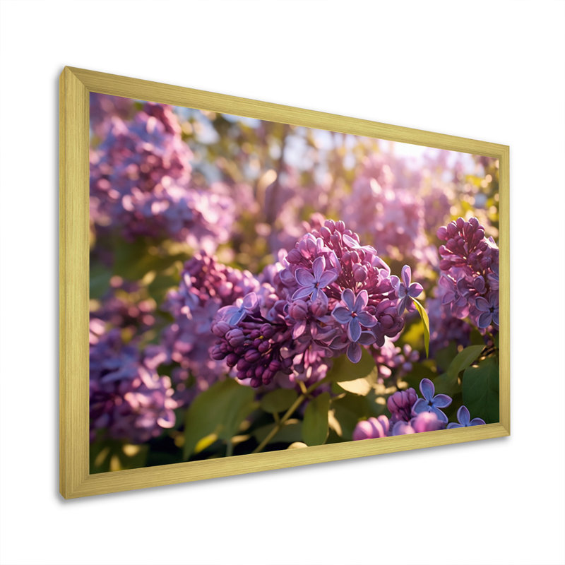 «Lilac mauve», impression sur toile, H 24 po x l 32 po x P 1 po, Encadrement doré