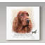 « irish red setter », reproduction d’impression sur toile tendue-26854526
