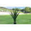 Fausse plante d'agave en pot-1602638697-1602638699
