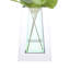 Chardon organisé dans un vase en verre miroir-263244852
