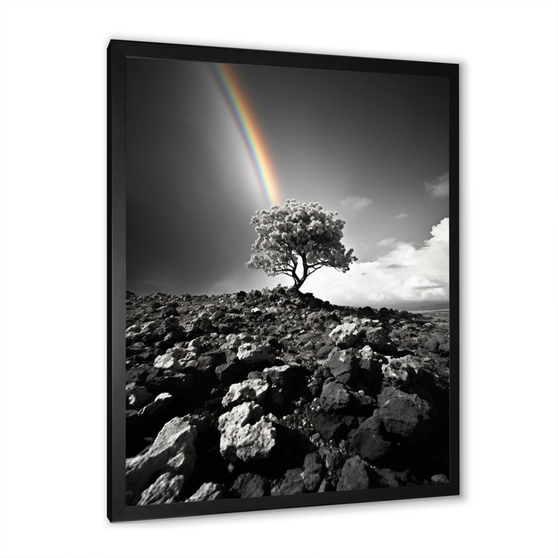 Arc-en-ciel coloré contrastant avec un arbre gris II - impression, H 20 po x l 12 po x P 1 po, Cadre photo noir