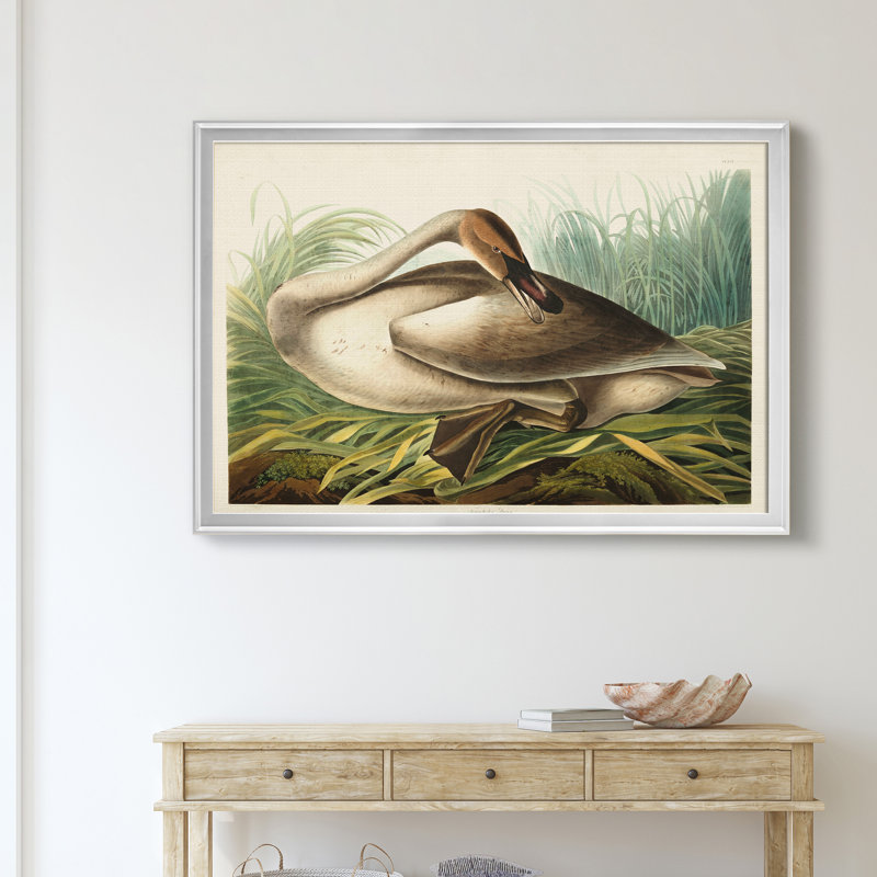 Trumpeter Swan - reproduction d'art sur toile, H 26,5 po x l 36,5 po x P 1,5 po, Argent