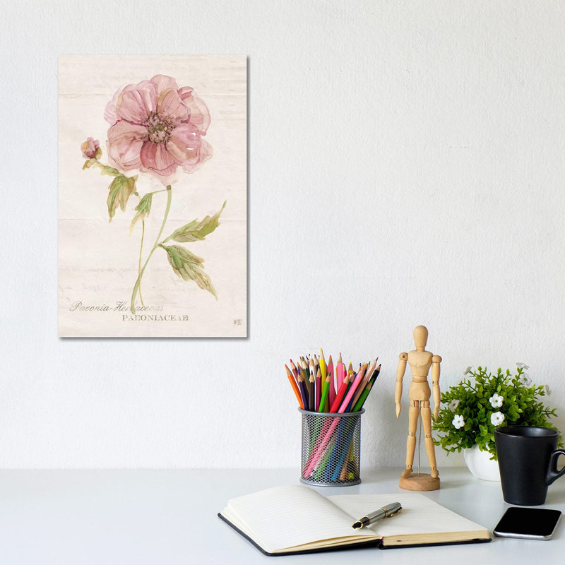 Soft Peony by Carol Robinson - Painting on Canvas, Wrapped Canvas, 20.32 cm H x 30.48 cm W