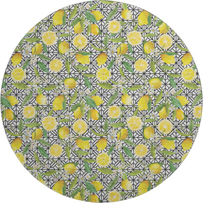 Premium Machine Washable Bradenburg AMF160 Yellow Rug
