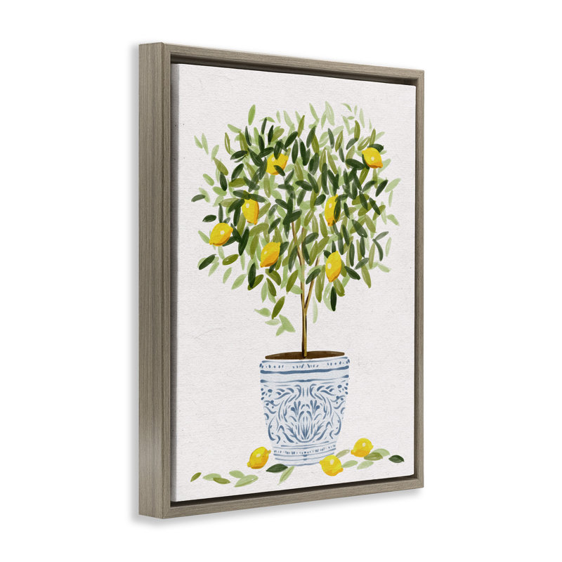 Pot à fleurs Lemon Tree, Cadre flottant orme Montalcino, H 31 po x l 25 po