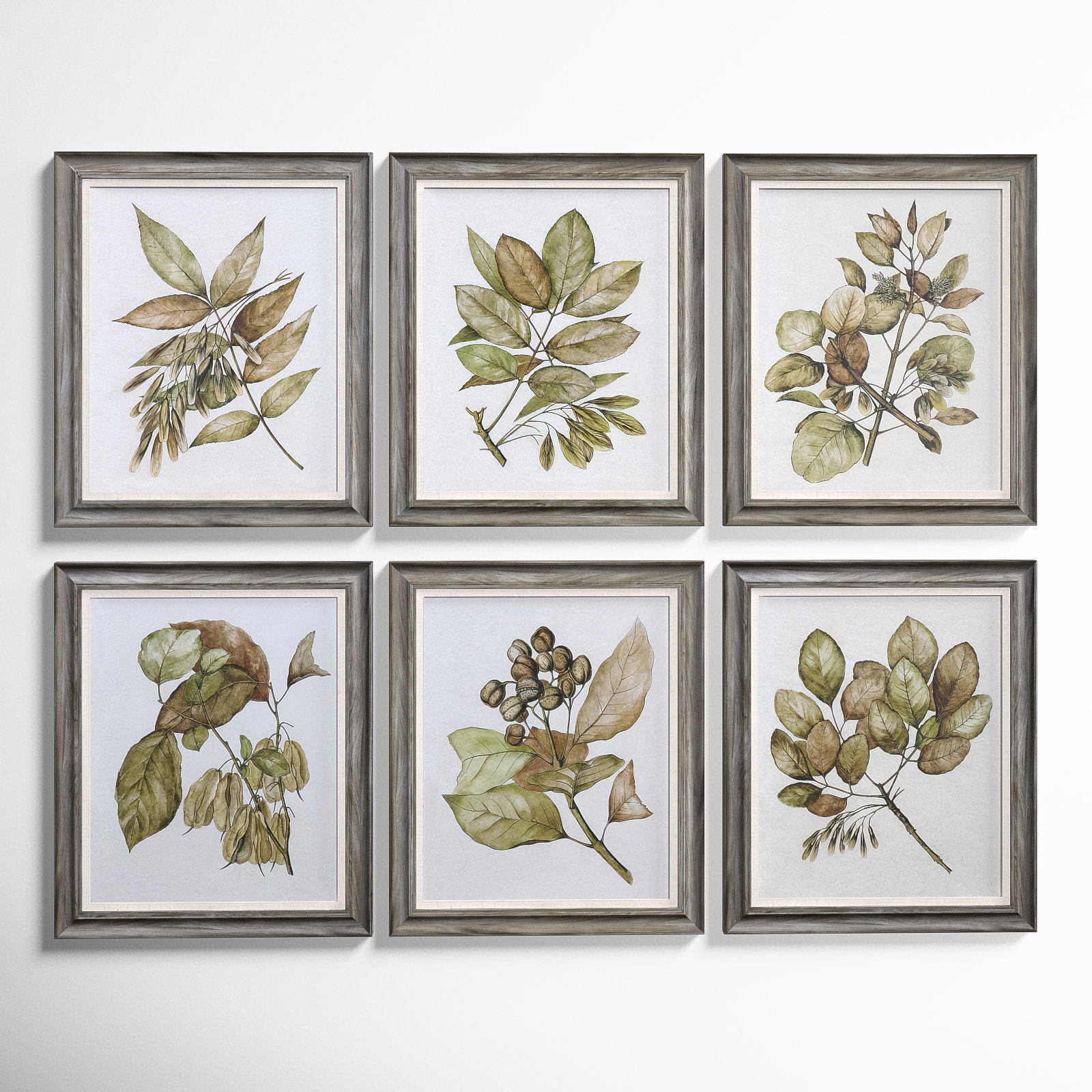 Seedlings by Grace Feyock