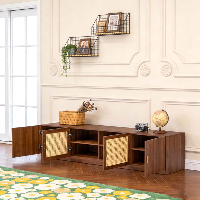 Modern TV Stand