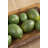 Rowhn Food & Beverage Vase Filler