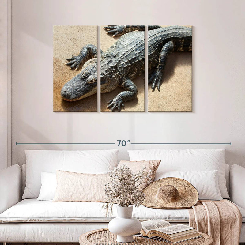 Alligator, 24" H x 38" W