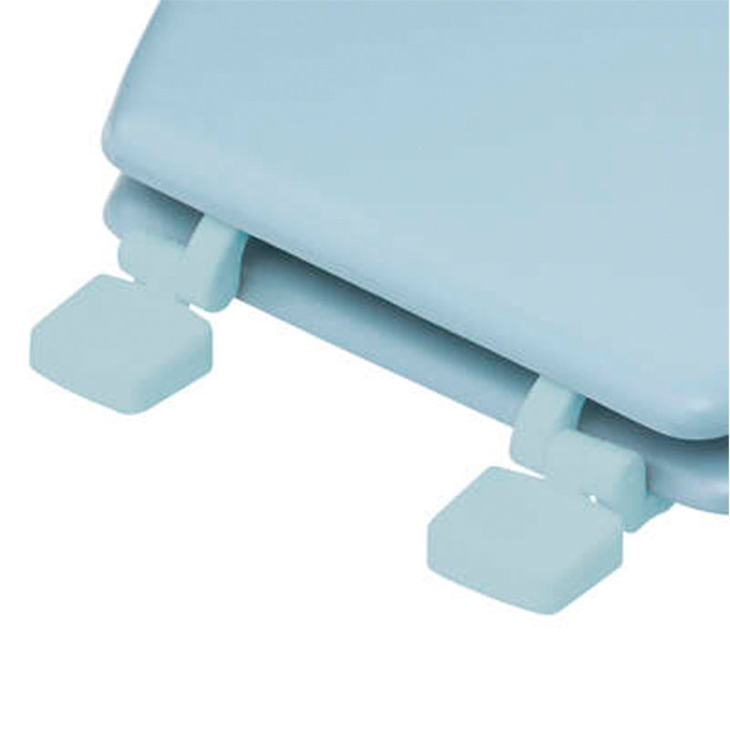 Diaundra Toilet Seat with soft close lid, Artic Blue
