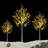 Birch Snow Lighted Trees and Branches-1641773521