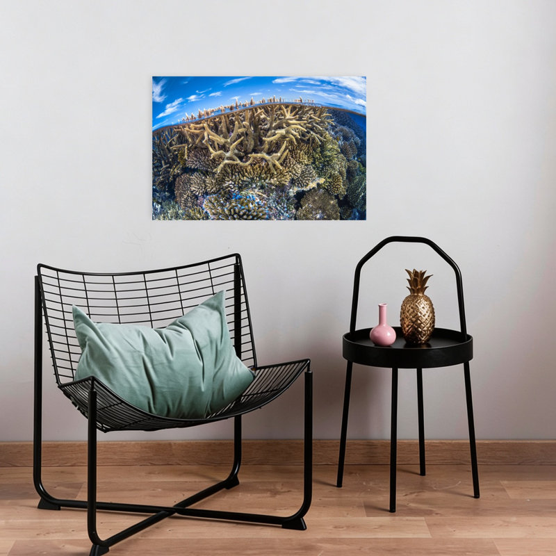 Impression sur art mural tropical tropical, H 16 po x l 24 po