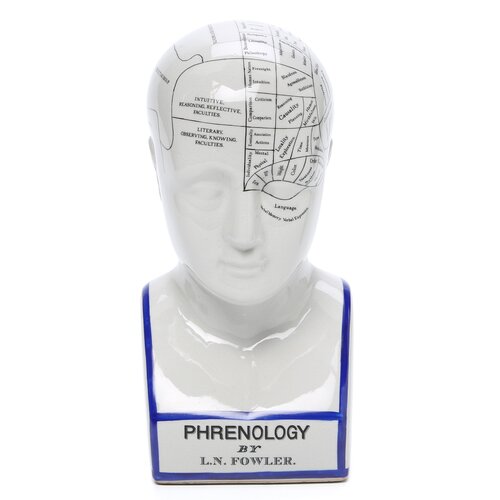 Design Toscano Phrenology Head Figurine & Reviews | Wayfair