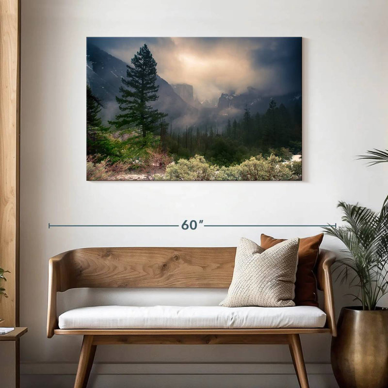 Parc national Alvord Foggy Yosemite, H 30 po x l 45 po