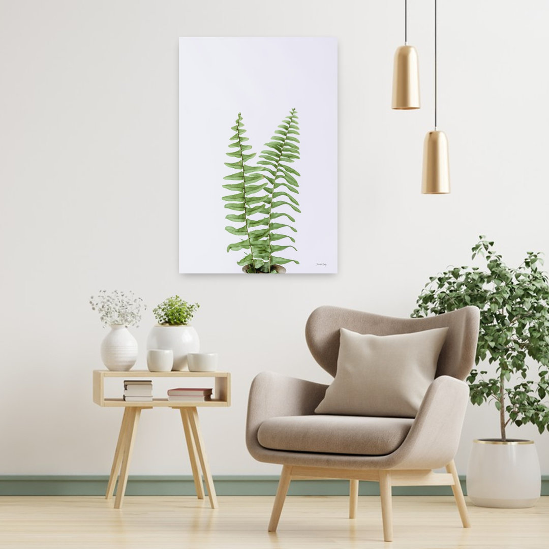 Boho Fern Abstract Contemporary Fern Landscape Nature Wall Art Print