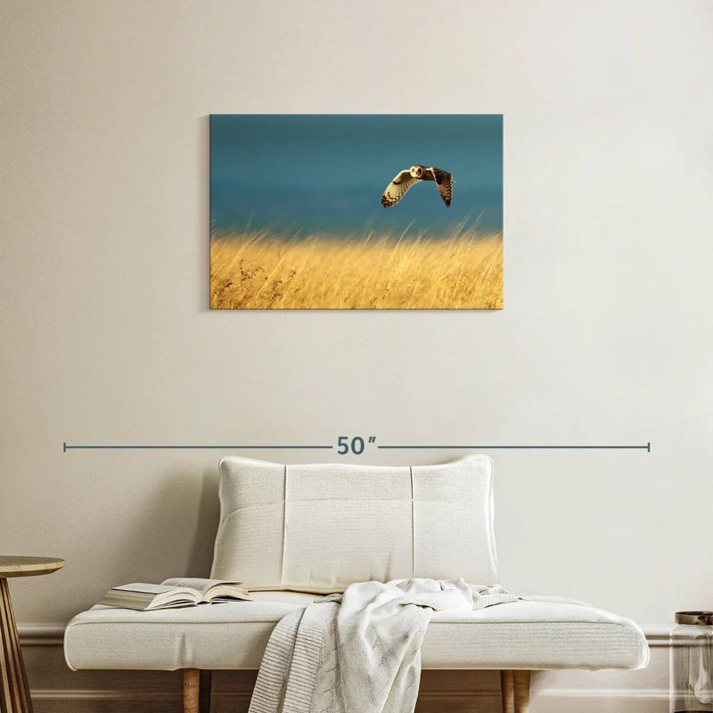 Owl In Flight, 20" H x 30" W